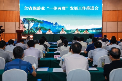 全省旅游业&ldquo;一体两翼&rdquo;发展推进会召开 祥源控股受邀交流发言